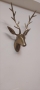 Other, 200 ₪, Хайфа